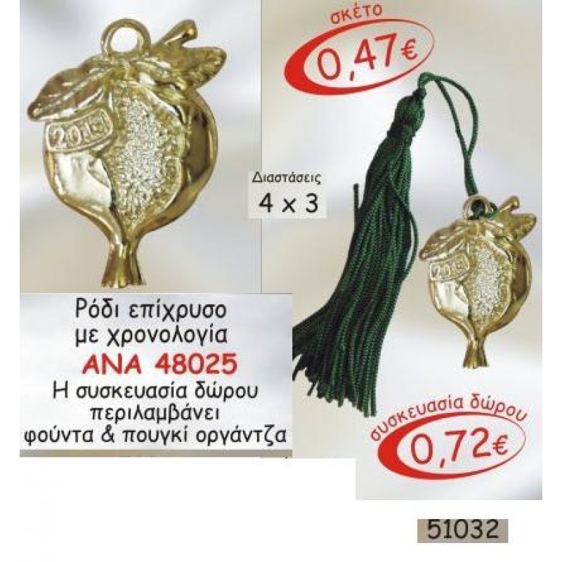 ΡΟΔΙ ΑΝΑ48025 ΓΟΥΡΙ 